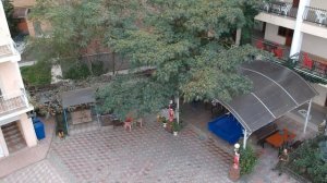 Аурелия Судак. Обзор.