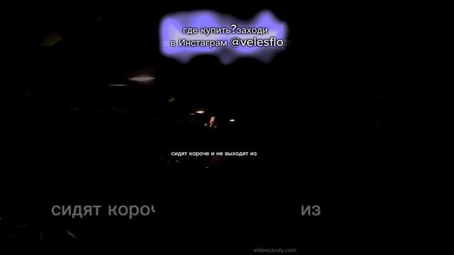 ВЕЗИМЕНЯМРАЗЬ 3.0 / неадекватны #shorts