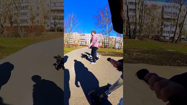 ПРИКОЛЬНОЕ ВИДЕО / FUNNY VIDEO #shorts  #youtubeshorts  #comedy  #insta360 X3