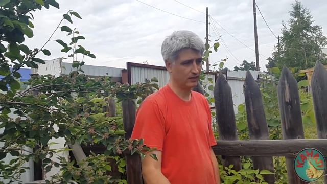 Дела добрые №1. То что нас сближает! смотреть онлайн