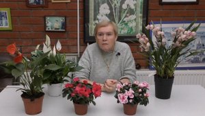 Отвечаем на вопросы наших зрителей №1