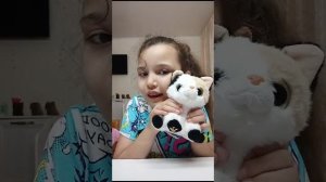 Обзор некоторых моих мягких игрушек .