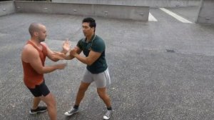 Understanding Chi Sao in Wing Chun kung-fu