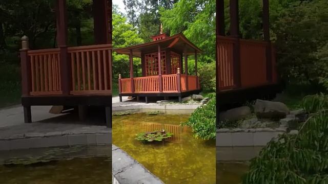 Сочи, #дендрарий,японский садик, лето 2023 смотреть онлайн