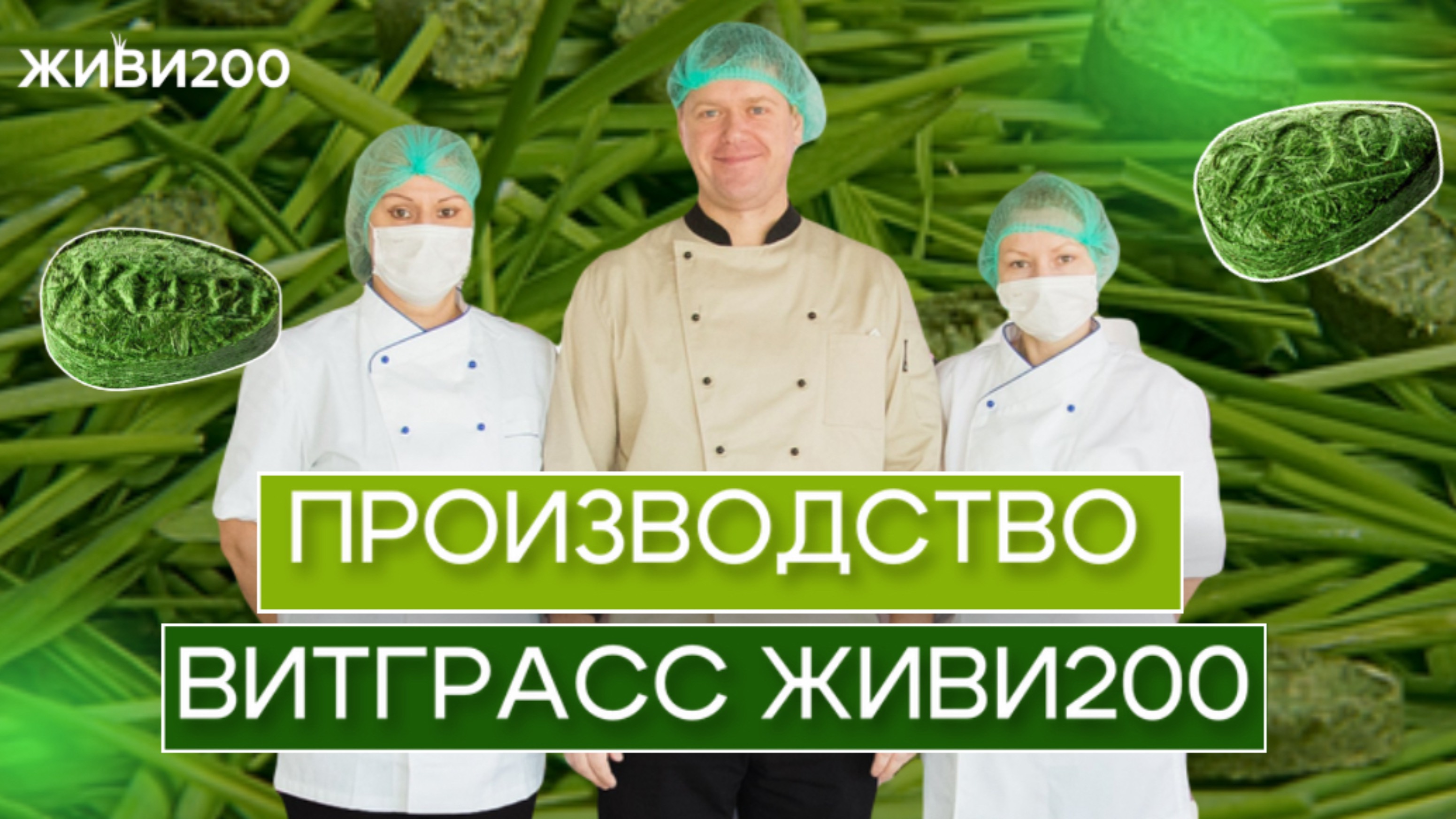 Мы производим прессованные ростки пшеницы - 100% органика, НЕ БАД🌱 Биофабрика ЖИВИ200🌱