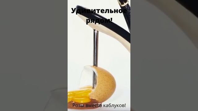 Удивительное рядом_ Розы вместо каблуков