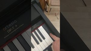 Artesia DP-7 проблема включения продолжение
