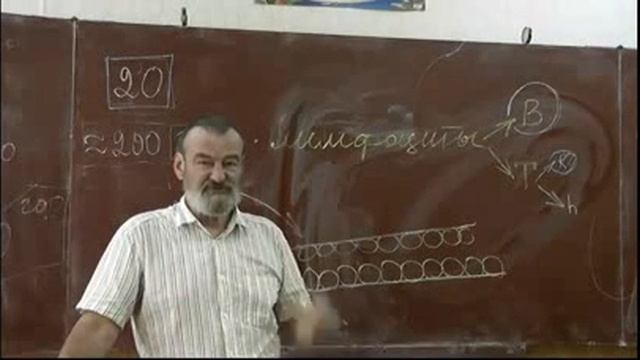36   Антиген, антитело, стволовые клетки