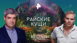 Райские кущи — Невероятно интересные истории (18.09.2023)