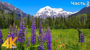 Beauty of Canadian Nature - 4K Relaxation Film - Mountains, Lakes, Forests & Waterfalls - Part #7.2