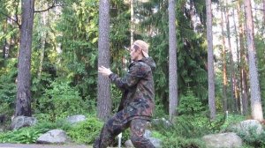 Янши тайцзи цюань 24 формы