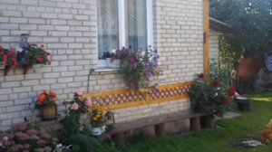Фильм В ДЕРЕВНЕ