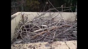 АТ57 Заполнение червячника на зиму. Основы моего подхода