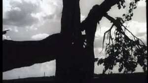 ХАТЫНЬ, 5 км 1968