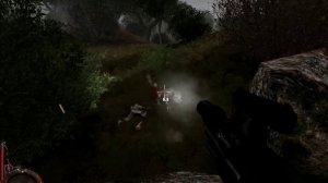 Steyr Aug Кальтера