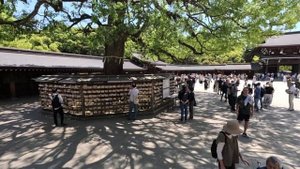 Мэйдзи Дзингу. Храм в японских джунглях в центре Токио. Meiji Jingu. Jungle temple in Tokyo.