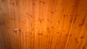 Дача СНТ Любитель природы 2