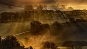 ОЧИ ЧЕРНЫЕ    в исполнении Николая Сличенко