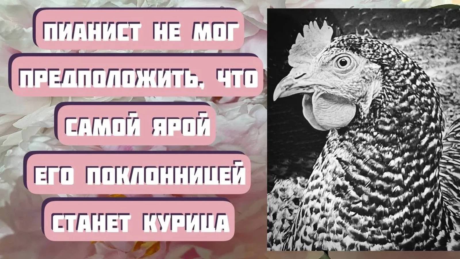 Легкий рассказ ПОКЛОННИЦА. Автор - Светлана Волкова, читает - Светлана Копылова смотреть онлайн