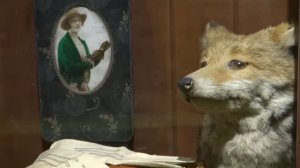 269. АНГЛИЯ: Чем мне запомнился Мидлсбро самый неблагоприятный для жизни город Великобритании?