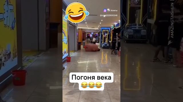 1000003956.mp4 смотреть онлайн