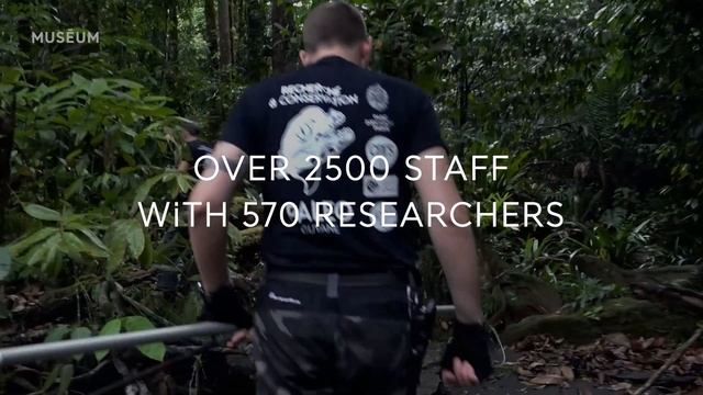 The Muséum national d'Histoire naturelle (French National Natural History Museum) смотреть онлайн