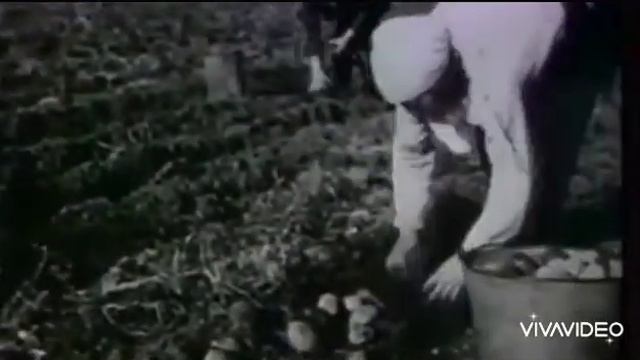 В. Снегирёв "Война 41 года" #Голоспамяти