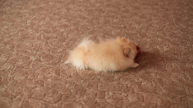 MVI 5953 смотреть онлайн