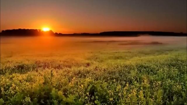 КОНЬ КАВЕР КЛИП под 7GUITARx3 VOC вок вок нр Исп А Лебедев Видео от 11 июля 2023 года смотреть онлайн