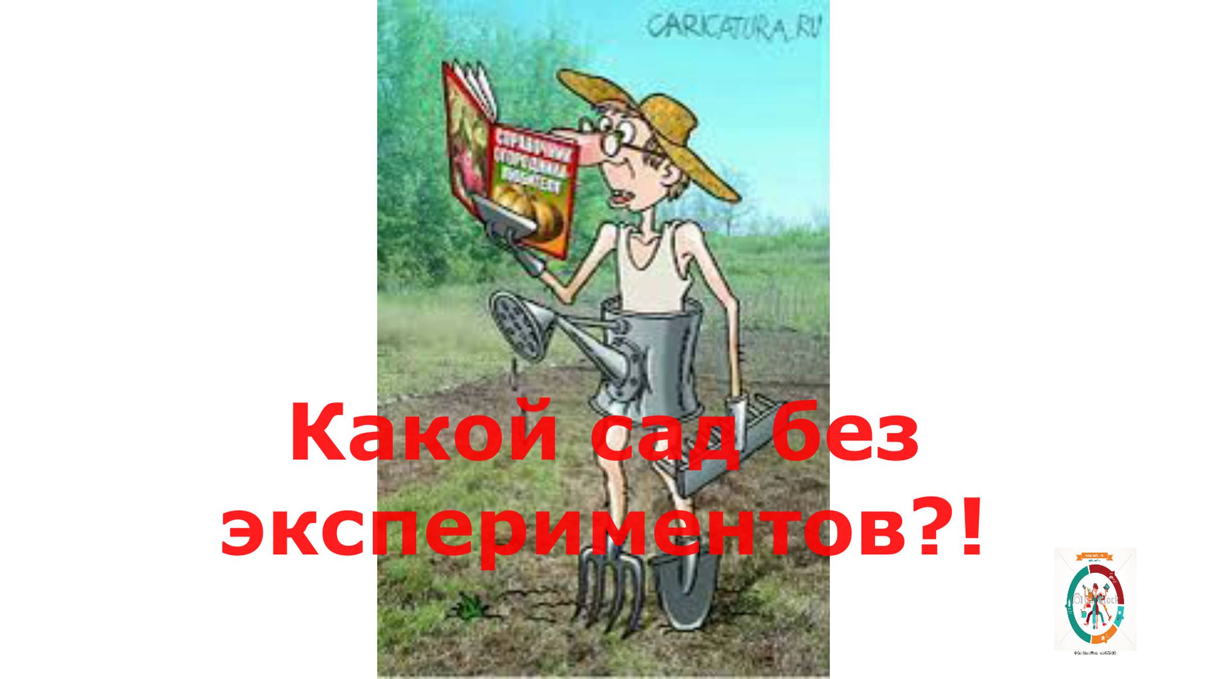 Дача " 2. Выпуск 24.  Лето 2023г.Какой сад без экспериментов ?