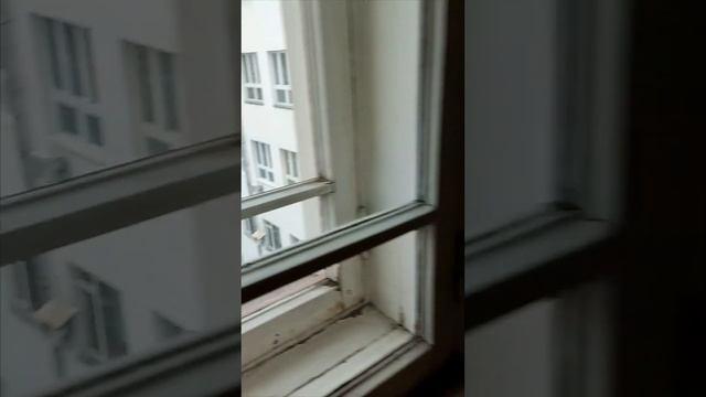 Нехорошая квартира 50. Государственный музей М.А. Булгакова. Москва.