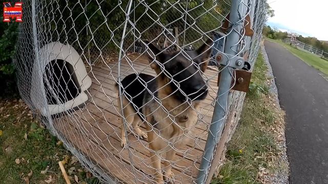 Как на самом деле живут русские иммигранты в США. Баня по-русски. Часть 3