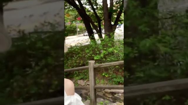 Full video in profile #namsan #korea #adayinmylifeinkorea