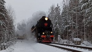 Паровоз Л-4372 с Туристическом поездом "Уральский экспресс" следует по перегону.