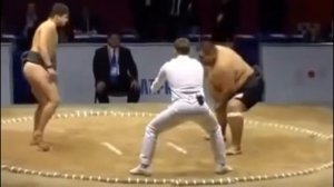 Самый маленький борец сумо в мире.