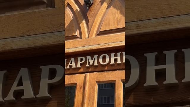 Концертный зал симфонического оркестра филиала Мариинского театра в РСО-Алания #владикавказ