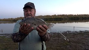 Огромный карась и стеклянный судак