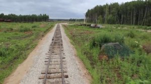 Узкоколейная железная дорога поселка Заплюсье