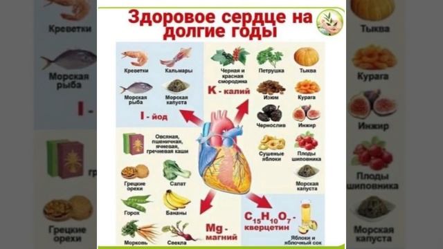здоровое сердце и овощи
