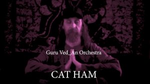 Guru Ved_An Orchestra | САТ НАМ | 432Гц