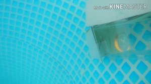 Крушение титаника из картона