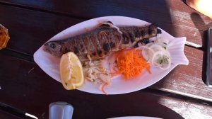 Теберда Рыбалка Форель  Домбай Форелевое хозяйство Теберда отдых  Рыбалка в Теберде  Виктория влог