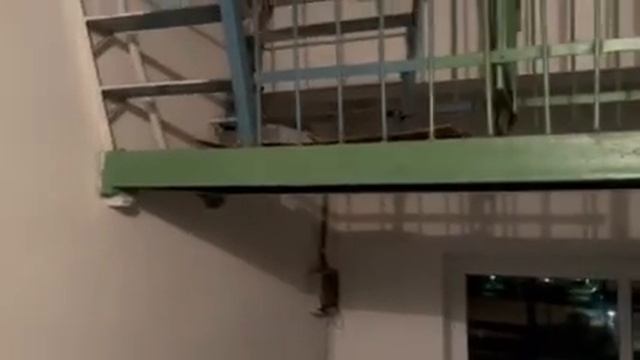 Лифт Могилевлифтмаш 2022 г.в.
