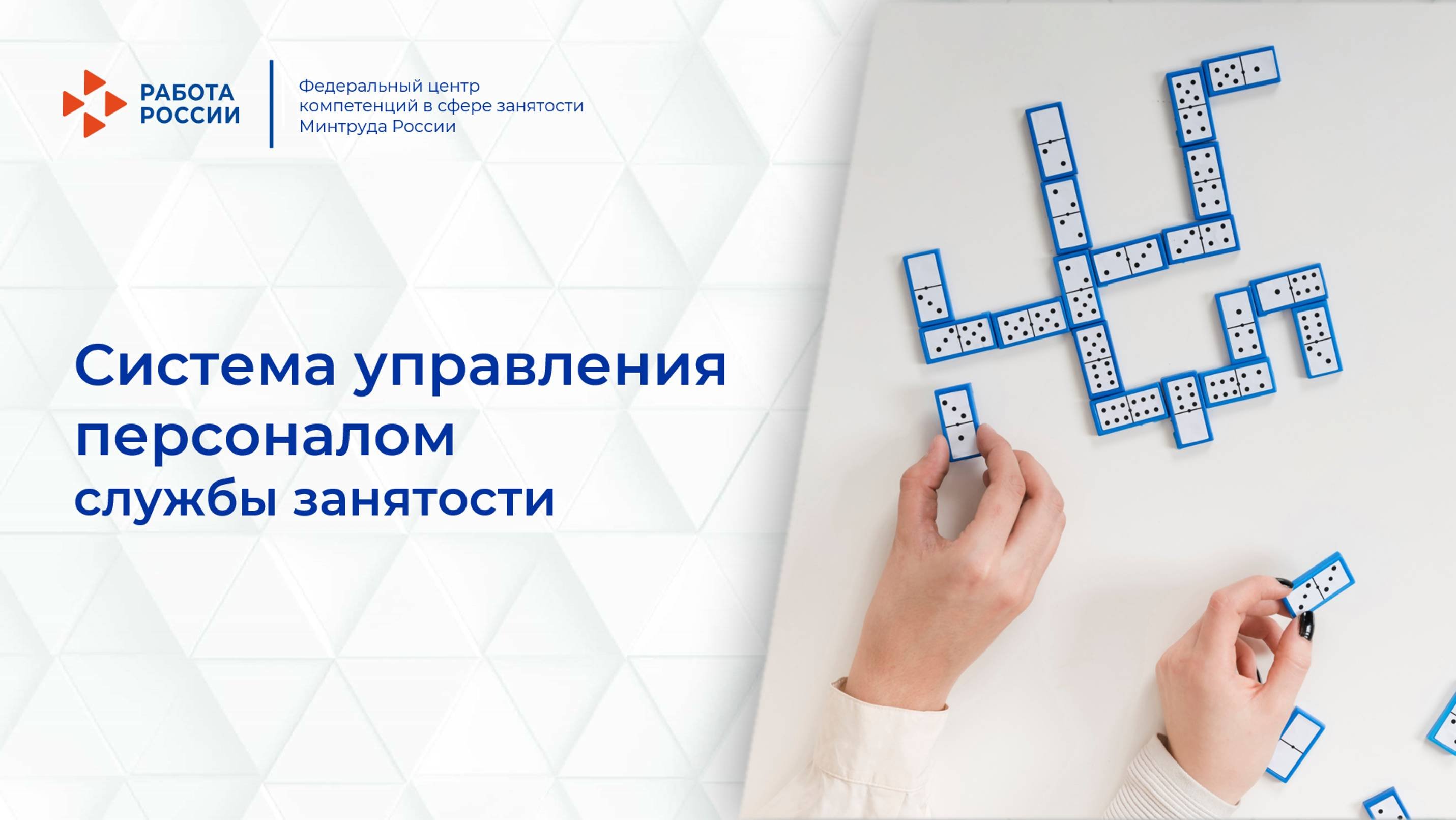 Система управление персоналом службы занятости