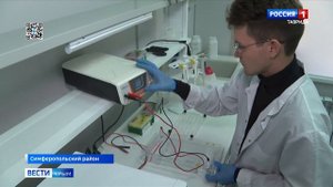 Уникальный биореактор разработали учёные Крыма: как будут использовать технологию