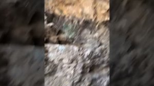 Кяхтинский район, южная Бурятия