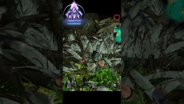 Приручить Гигантораптора легко arksurvivalevolved aberration gigantoraptor