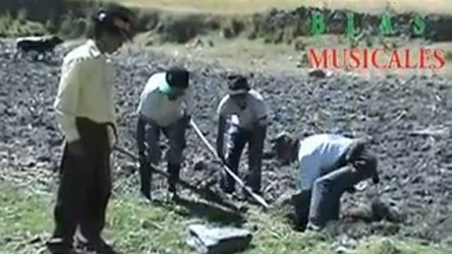 LILY CRISTOBAL Y JUBERT BLAS ARMAS "SOY HUANUQUEÑA" 2014 смотреть онлайн