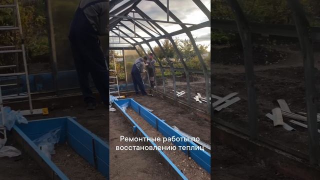 Ремонт теплицы садовая виде 2