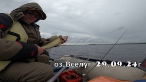 за Судаком на Вселуг 29.09.24г